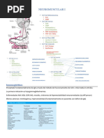 Neuromuscular I