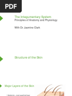 Slides Nursing Physiology The Integumentary System