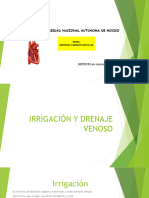 Sistema Cardiovascular