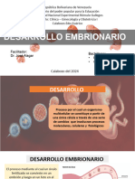 DESARROLLO EMBRIONARIO KyG