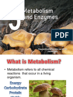 Chapter 5 Metabolism & Enzymes - Compressed