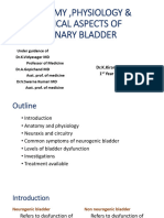 Urinary Bladder