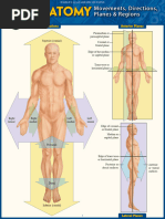 Anatomy - Directions, Planes, Movements & Regions A QuickStudy Laminated Reference Guide