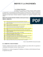 El Medio Ambiente y La Ingeniería Civil. (2022)