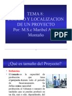 Tema 8. Tamaño y Localizacion de Un Proyecto