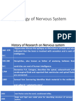 Nervous System