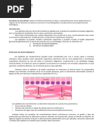 LABHISTO 09 Tejidos Epiteliales 2022 DMOR 0011