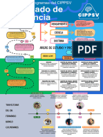 Infografia CIPPSV