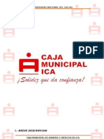 Caja Muni D Ica Imprim