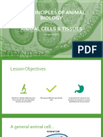 Cell Structure, Function and Tissues