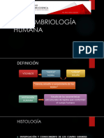 Desarrollo Embrionario