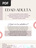 Adultez Presentación