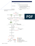 Metabolism-Physeo-Metabolism Section II - Glycolysis