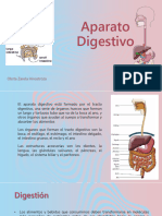 Aparato Digestivo - Zarela Hinostroza