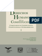 Derechos Humanos Tomo I