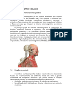 SISTEMA ESTOMANGÁTICO E OCLUSÃO Parte 04