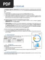 5.1-TEMA 10 La Divisiã N Celular