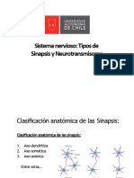 3 - Fisiologia TO Clase 3 SN, Sinapsis-Rev IRC