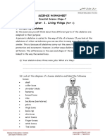 Living Things Worksheet-1