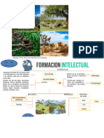 Naturales 6 3p 2017