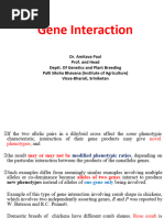 Gene Interaction