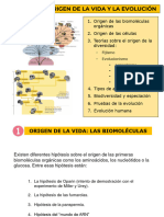 UD 4. El Origen de La Vida y La Evolución (POWER POINT) 4BG