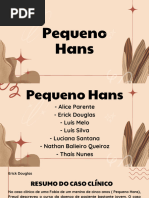 Pequeno Hans