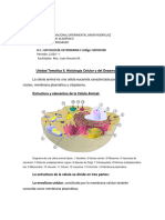 Güía Teórica HISTOLOGÍA CELULAR Y DEL DESARROLLO