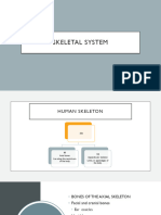 Skeletal System 2021
