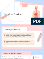 The Digestive System Educational Presentation in Blue Pink Simple Style