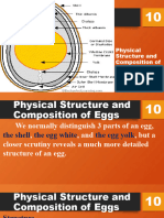 Tle 10-PPT5 (Physical Structure and Composition of Eggs)