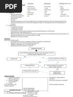 Derrame Pleural