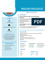 CV Mouad Rguigue