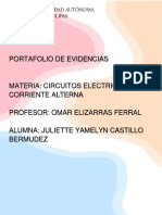 Portafolio de Evidencias Ceca