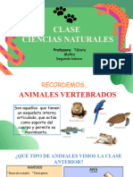 Clase Ciencias 15 - Vertebradosanfibiosyreptil