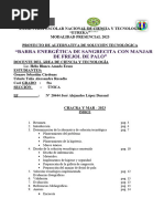 Informe Proyecto Fencyt