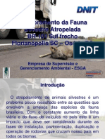 Monitoramento Da Fauna Silvestre Atropelada - BR-101 Sul