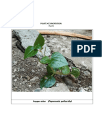 Plant Documentation