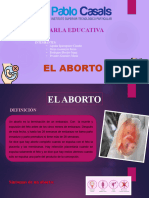 Charla Del Aborto