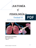 Sistema Respiratorio-1