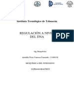 Ensayo Regulación Dna