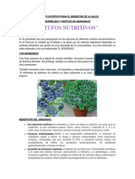 PDF Documento