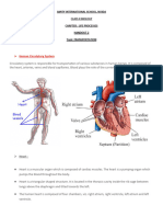 Class 10 Science Notes Biology Transportation