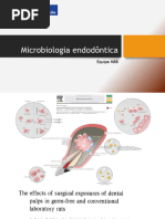 Microbiologia Endodôntica