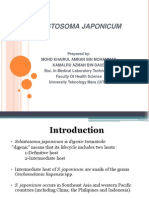 Schistosoma Japonicum..Handout