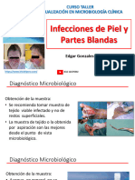 IPPB-diagnostico Microbiologico