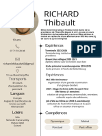 CV Professionnel Minimaliste Beige