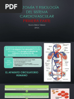 1era Parte Anatomía y Fisiología Del Sistema Cardiovascular