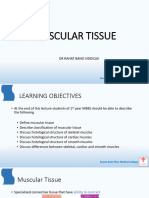 Muscular Tissue