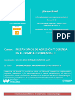 Diapositivas S15 - Enfermedades Sistémicas de Importancia en Estomatología II - 2024-1